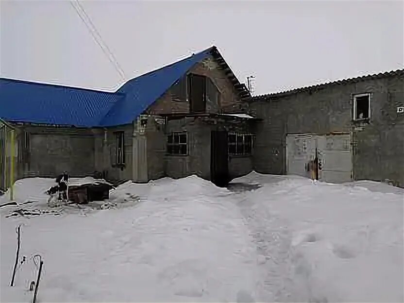 село боево дома. село боево воронежской области. боево колодезное. боево колодезное. продажа домов в перелешинском панинского района.