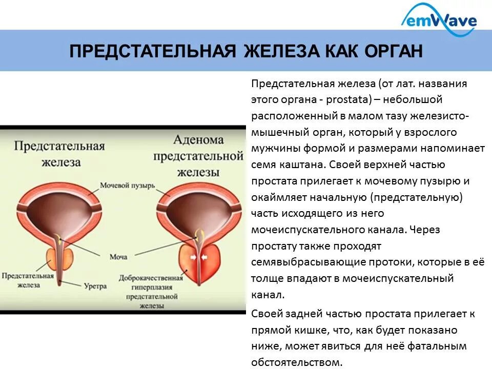 Гиперплазия простаты что это такое