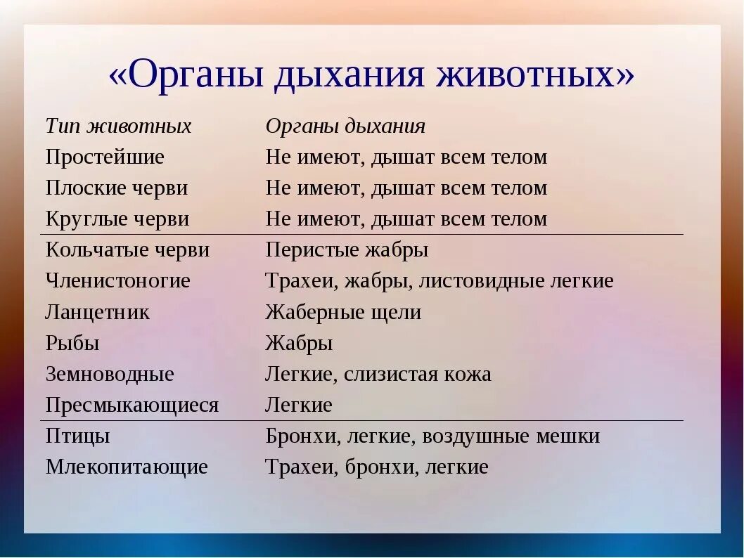 Органы дыхания животных. Дыхательная система животных таблица. Типы дыхания у животных. Органы дыхания и газообмен.