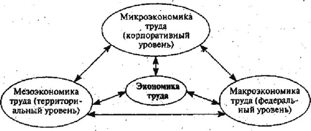 предмет изучения науки экономика. предмет экономики кратко. предмет дисциплины экономическая. социология труда и экономическая социология. предмет дисциплины экономика организации.