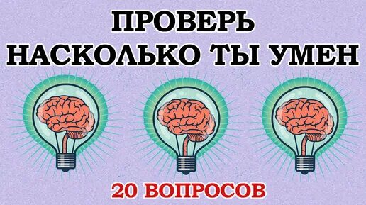 Тесты на эрудицию. Тесты на эрудицию с ответами.