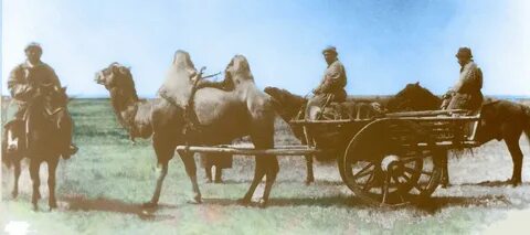 Ұлы мен анасы жыныстық қатынасқа түскен видео