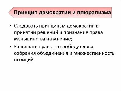 Политический принцип демократии