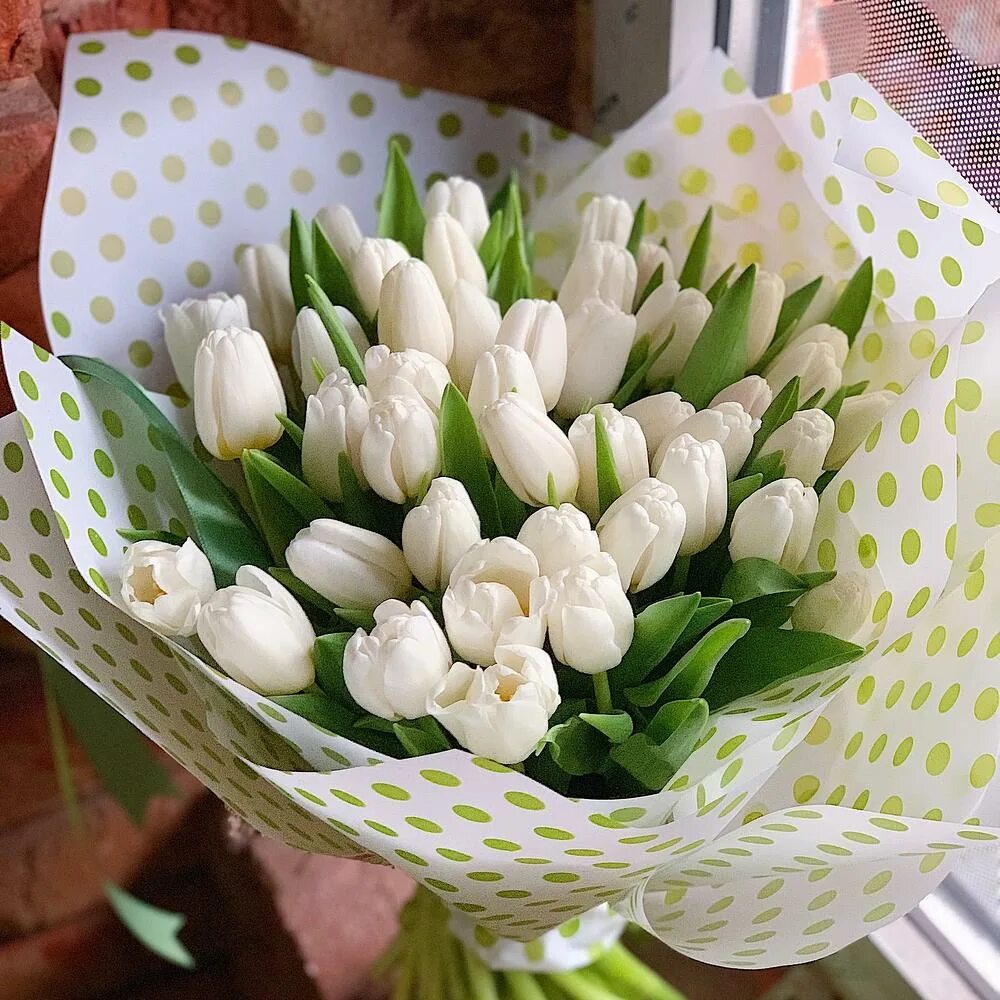 букет "25 тюльпанов". монобукет - тюльпаны. букет "25 тюльпанов". 101 белый тюльпан. белые тюльпаны букет.