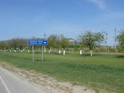 Погода в крыму село яркое поле