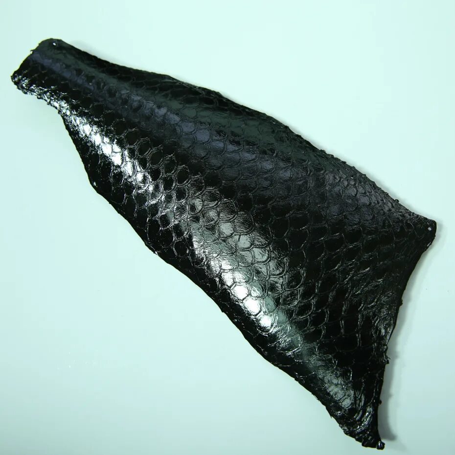 Кожа рыб покрыта. Как называется кожа рыбы. Рыба покрыта чешуей. Строение покровов тела у рыб. Чешуйка рыбы.