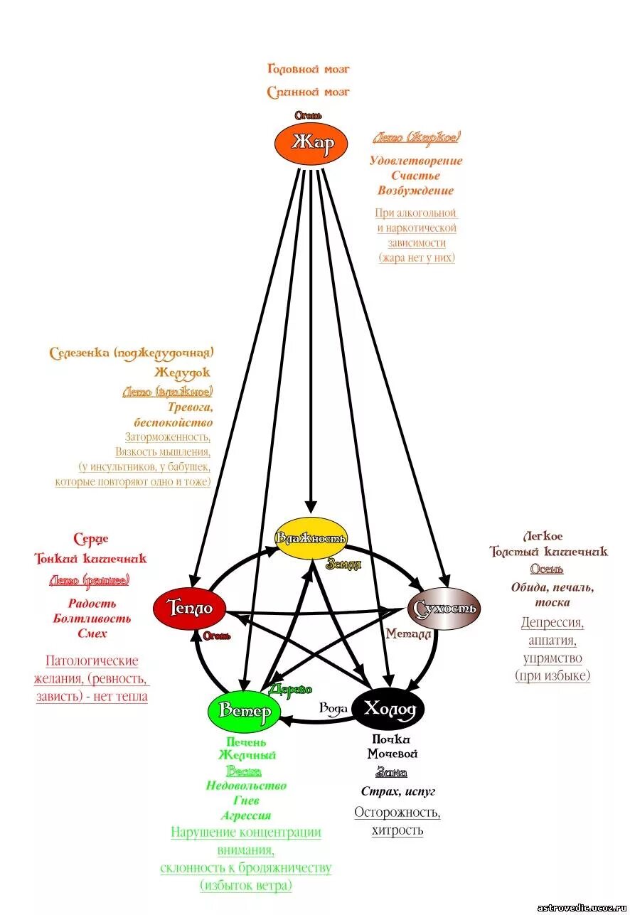 Китайская медицина органы. Система 5 элементов у-син. Схема у-син пять первоэлементов. Теория Усин 5 стихий. Система Усин стихии.