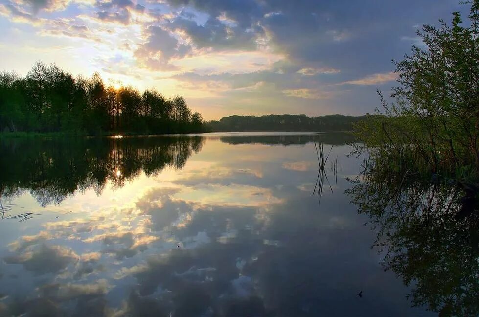 озеро великое шатура. шатурское озеро святое. шатурское озеро святое. чёрное озеро (шатура). озеро святое белое шатура.