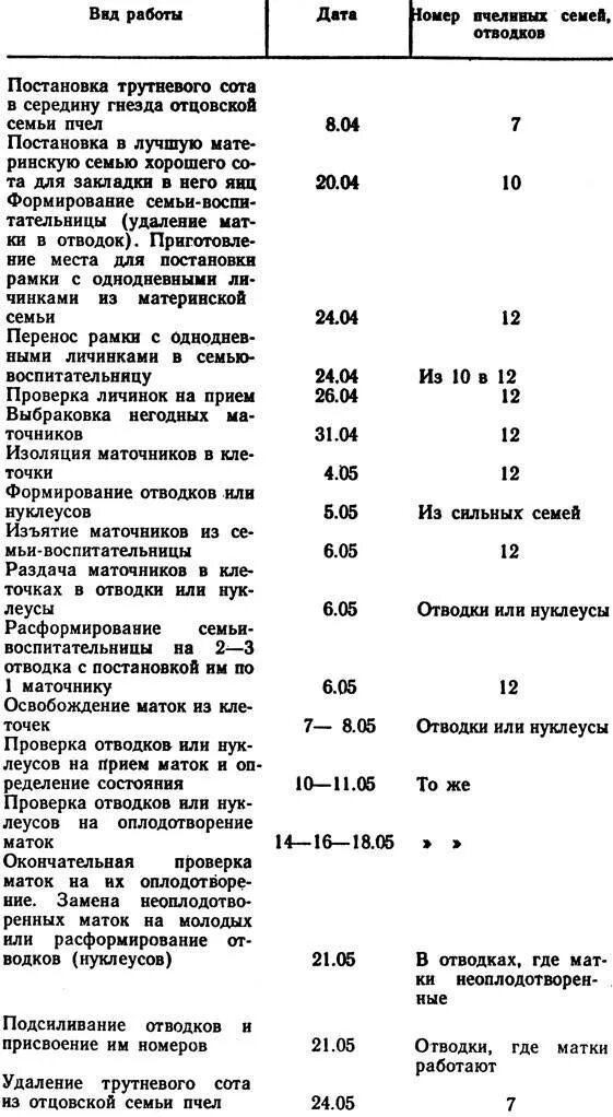 Когда появляются маточники. Таблица вывода пчелиных маток. Таблица вывода маток пчел. Перенос личинок для вывода маток. График вывода маток пчел таблица.