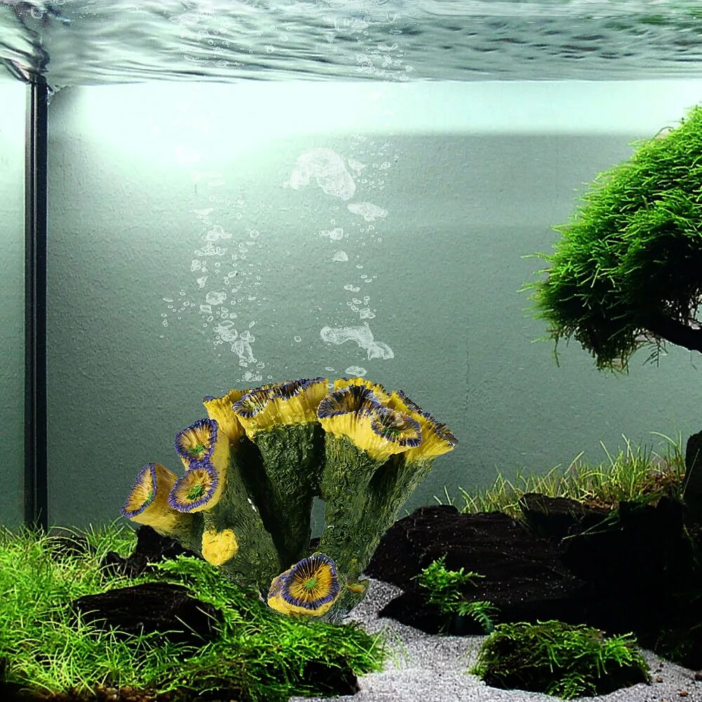 Растения для аквариума. Красивые аквариумы. Растения для аквариума живые. Водоросли для аквариума.