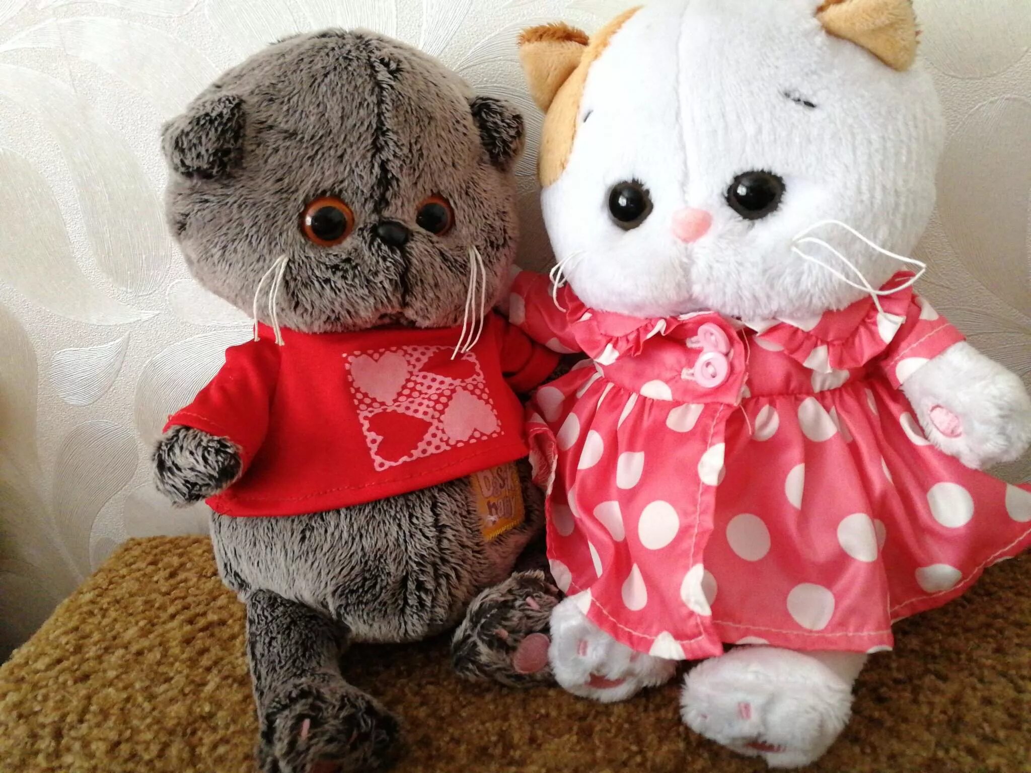 Басик и лиля. Кот басик. Басик и лиля. Игрушка басик лулу. Свадебный наряд для басика.