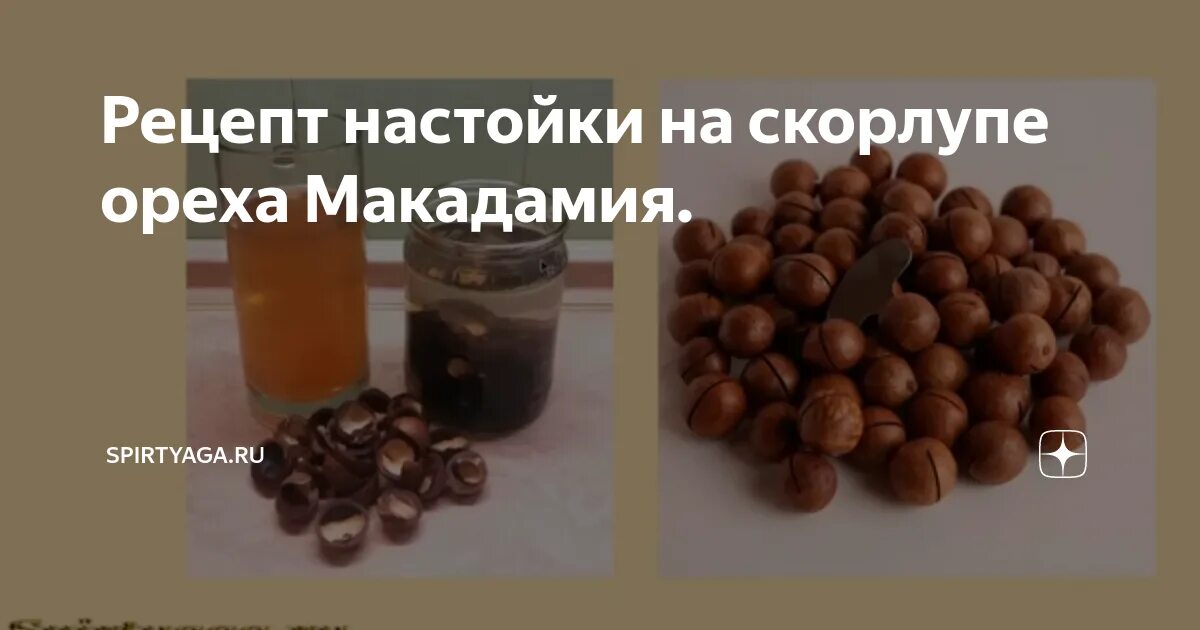 Настойка на скорлупе ореха макадамия. Настойка на скорлупе орехов макадамия. Настойка на скорлупе ореха макадамии. Самогон на скорлупе макадамии. Настой самогона на скорлупе макадамии.