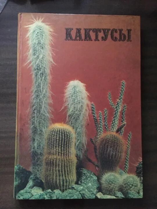 Книги про кактусы. Майлс андерсон: кактусы и суккуленты иллюстрированная энциклопедия. Детские книги о кактусах. Энциклопедия кактусов. Книги про кактусы.