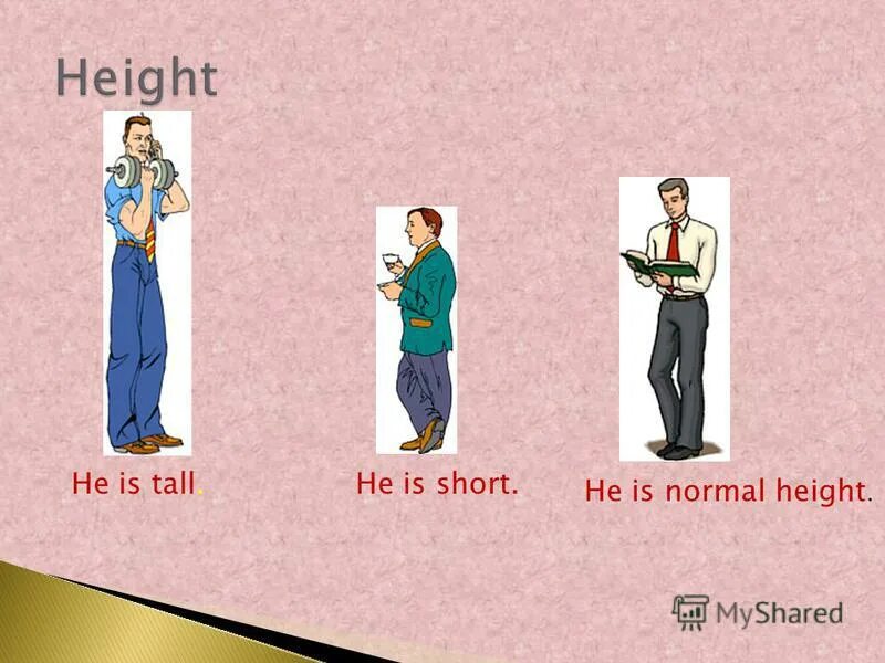 Me he tall. Tall taller the tallest правило. карточки по англ tall. Big bigger the biggest правило. How tall.