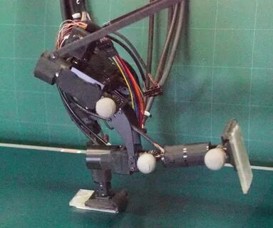 Legged robots