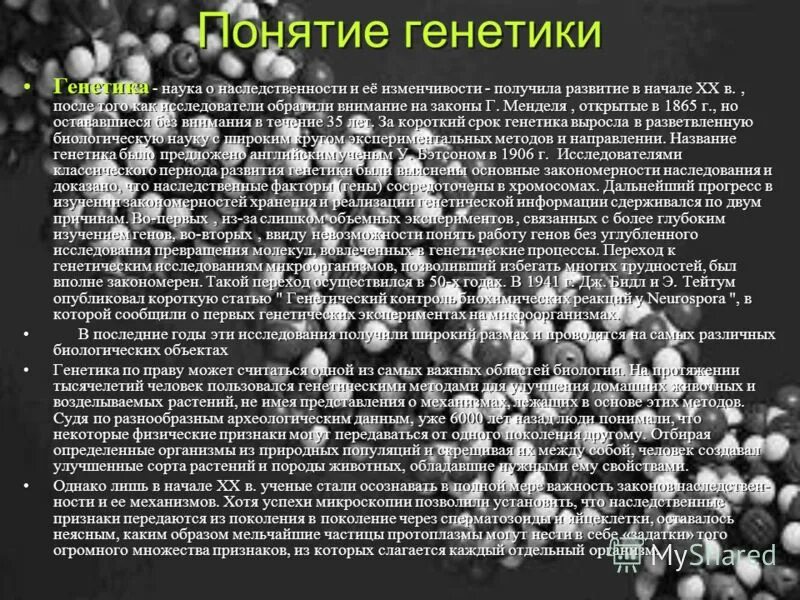 Урок генетика наука о наследственности и изменчивости. Презентация на тему генетика.