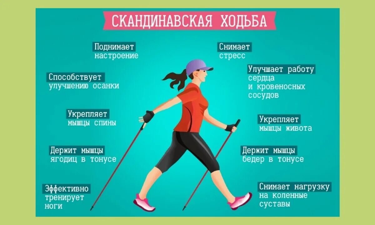 Пешая прогулка сколько калорий