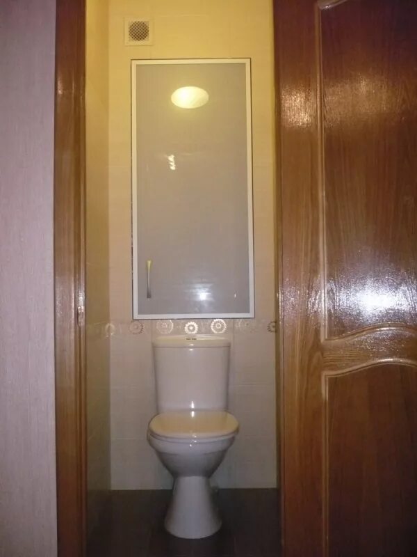 Дверца в туалете купить. Сантехнический шкаф в туалет. Сантехнические двери в туалет. Двери для шкафчика в туалете. Сантехническая дверка в туалет.