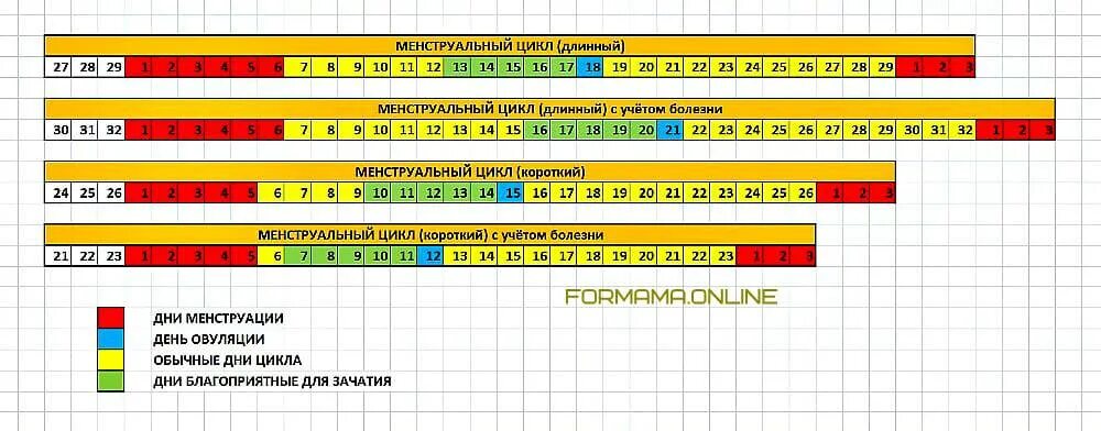 Как правильно считать месячные цикл пример. Как правильно посчитать цикл месячных пример. Как рассчитать 16 день цикла месячных. Что такое длина цикла месячных как вычислить. После недели месячных можно забеременеть