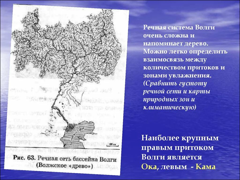 Волжский бассейн реки. Система Волги. Речная система. Схема Речной системы Волги. Густота Речной сети Волги.