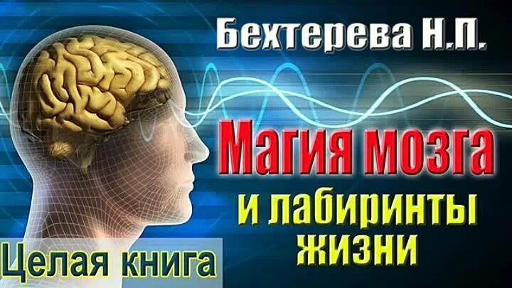 Бехтерева о мозге. Магия мозга. Бехтерева лабиринты. Бехтерев и мозги.