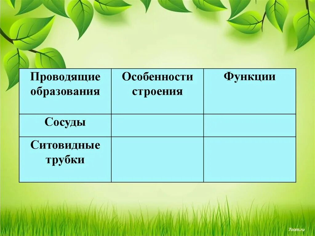 Проводящие строение и функции. Пользуясь материалом стр 113 учебника заполните таблицу. Ситовидные трубки особенности строения и функции. Особенности строения ситовидных трубок. Проводящая особенности строения.