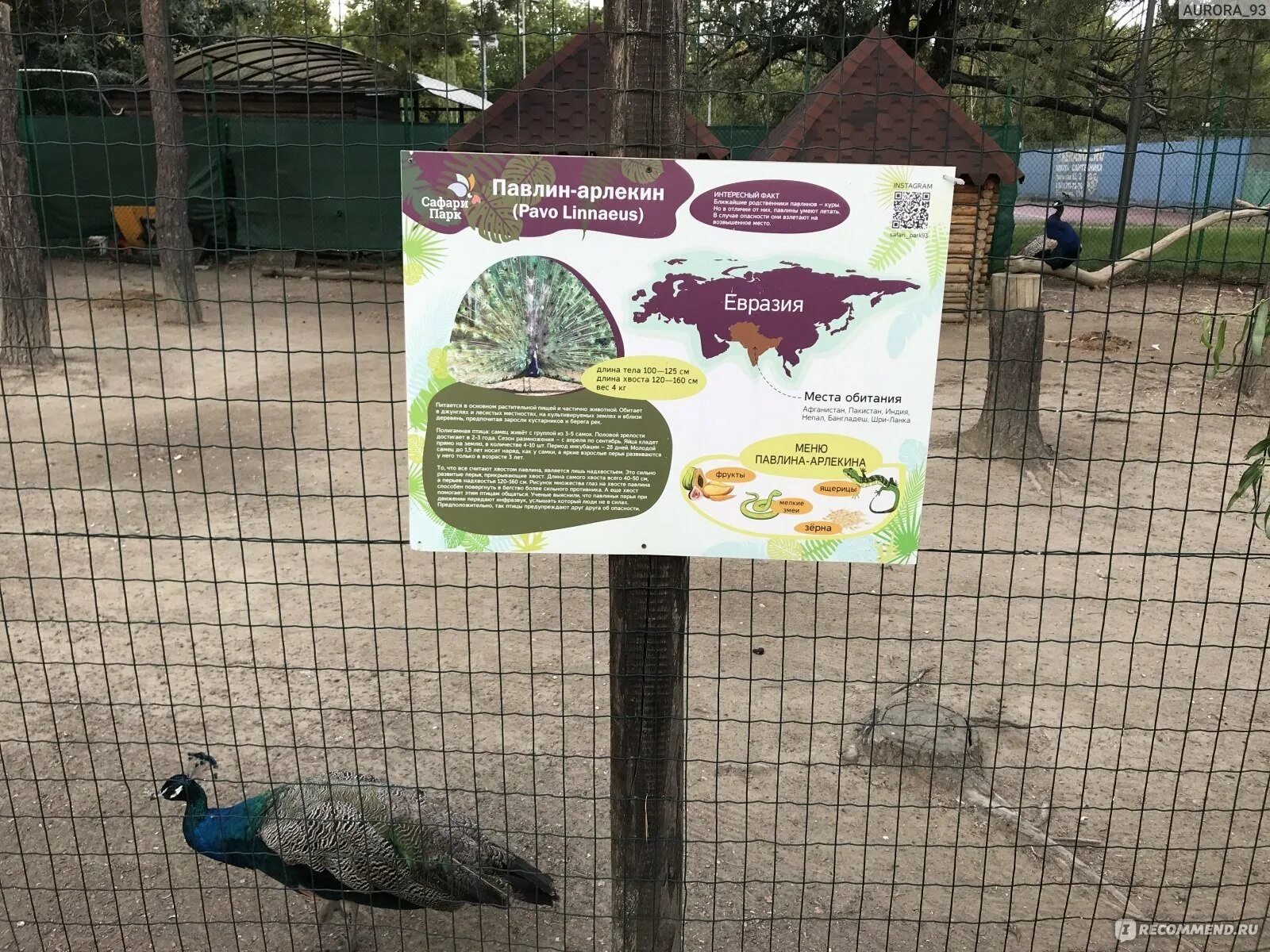 Парк солнечный остров краснодар зоопарк. Парк солнечный остров сафари парк. Парк солнечный остров (краснодар) план. Карта сафари парка в краснодаре. Карта парка солнечный остров в краснодаре.