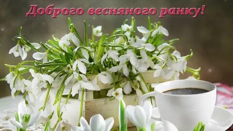 Весняного ранку картинки українською мовою