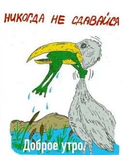 Не поступать и не сдаваться