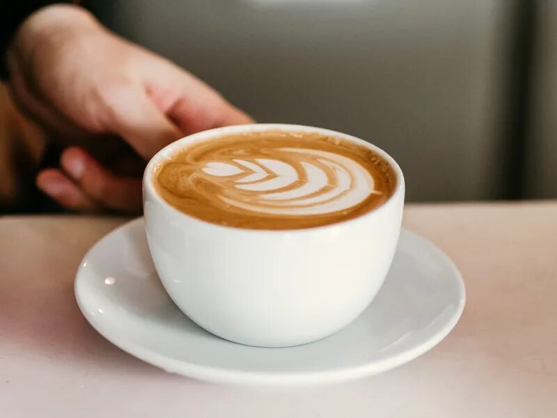 капучино волгоград штеменко 5. капучино адреса. мокарето капучино. джузеппе капучино. капучино адреса.