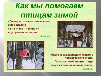 Как помочь птицам в зимнее время стенгазета