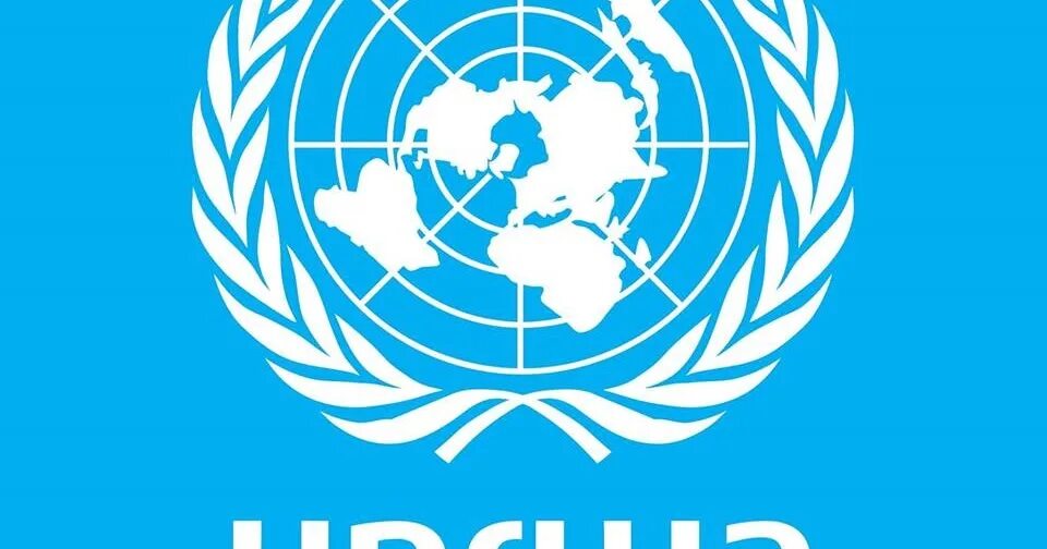 Эгида оон. СПЧ ООН эмблема. ООН на прозрачном фоне. ООН 4hdкартирка. Логотип UNDP.