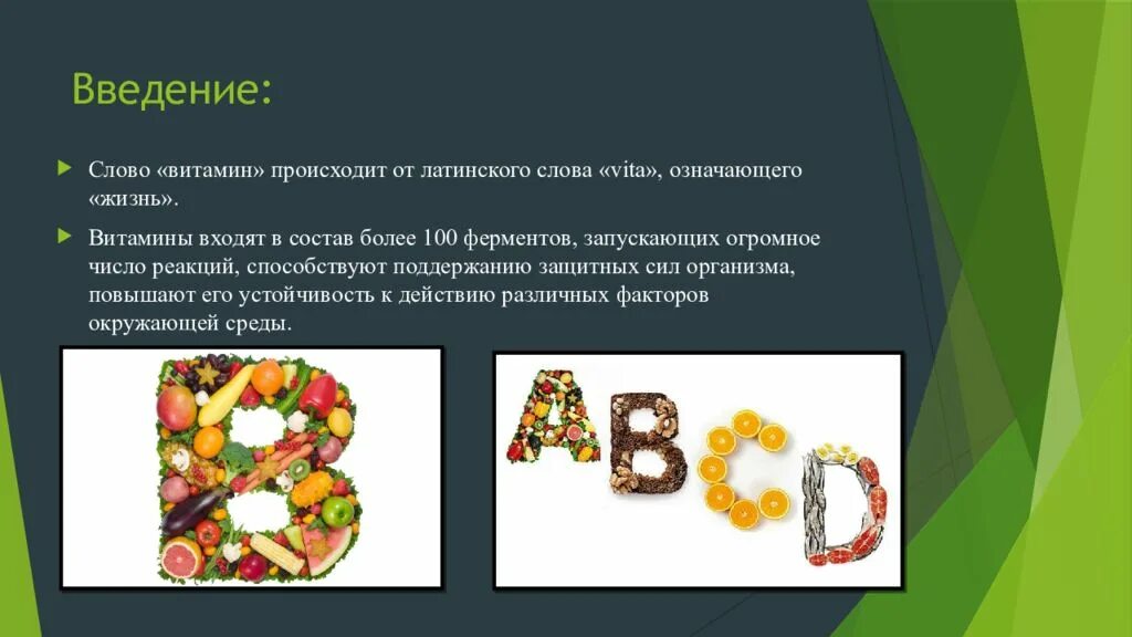 Латинское слово жизнь. Витамины Введение. Витамины Введение к проекту. Роль витаминов в жизни человека. Роль витаминов в жизнедеятельности человека.