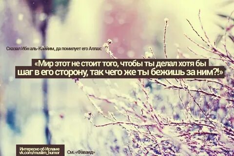 Сказал ибн