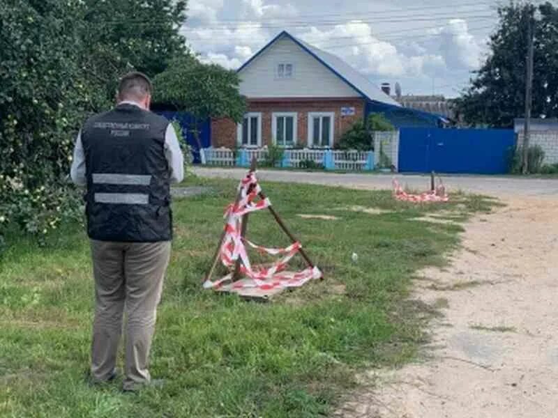Брянский детский дом. Красный колодец брянская область. Синий колодец брянская область. Детский сад аистенок сураж. Жуковский лагерь деснянка.