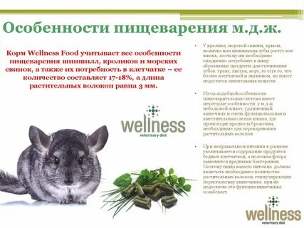 Можно шиншиллам траву