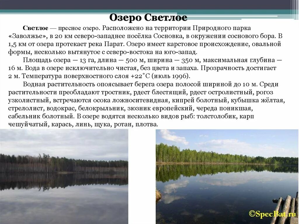 2 сочинение на тему озеро. Сообщение об озере светлое. Сюткюль. Озеро светлое рассказ. Озера Чувашии.