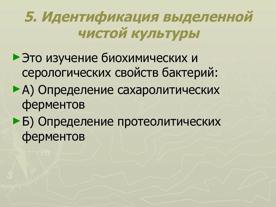 Протеолитические свойства бактерий. Идентификация выделенной чистой культуры. Методы изучения сахаролитических и протеолитических ферментов.. Изучение протеолитических свойств бактерий. Изучение сахаролитической и протеолитической активности бактерий.