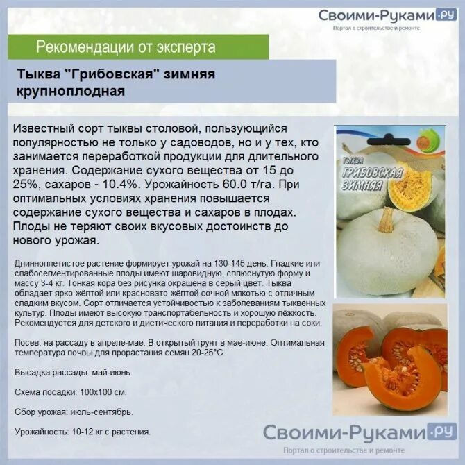 Как отличить кормовую тыкву