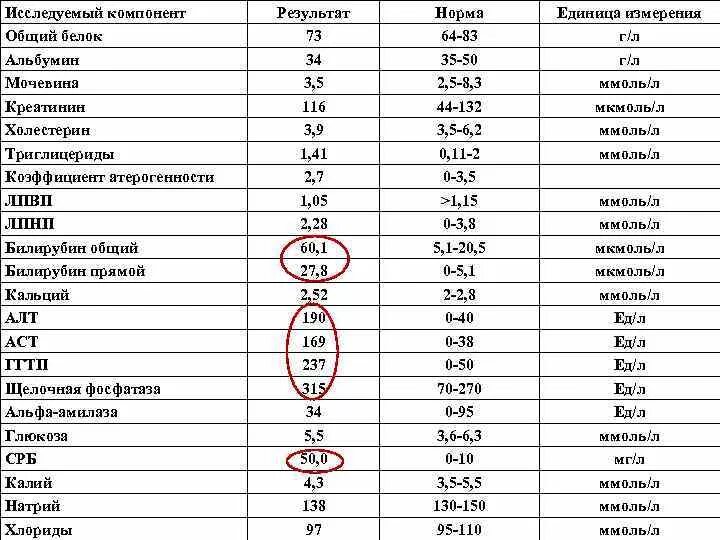 Единицы алт. Биохимический анализ крови креатинин норма у женщин. Биохимический анализ крови билирубин общий норма. Биохимия показатели нормы таблица взрослых крови альбумин. Биохимический анализ крови норма у мужчин.