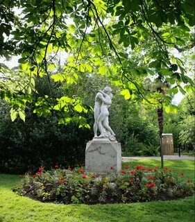 Des plantes