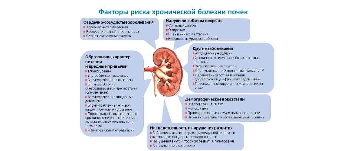 Хроническая болезнь почек факторы риска. Признаком развития хронической болезни почек. Хронические заболевания почек и мочевыводящих путей список. Классификация заболеваний почек Robbins. Хбп риск