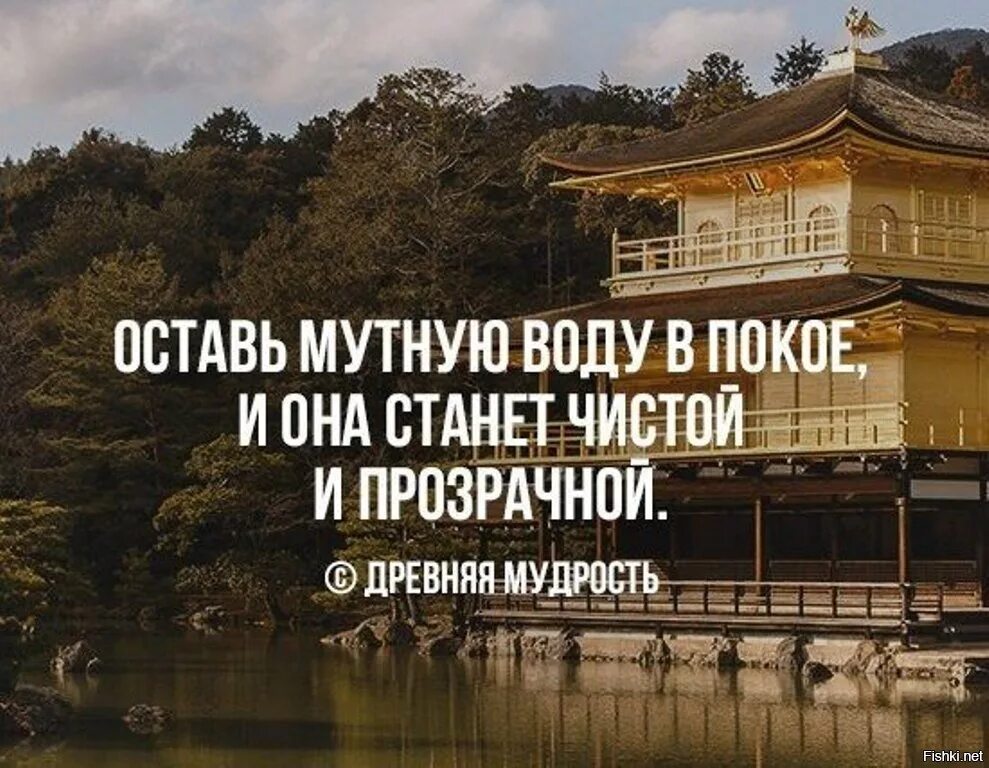 Покой цитаты. Спокойствие цитаты. спокойствие мудрость. афоризмы про спокойствие. фразы о душевном спокойствии.