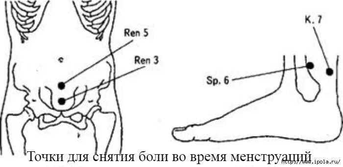 Можно ли массаж при месячных. Точечный массаж при болезненных месячных. точки при болезненных месячных. точки при месячных болях. точки для снятия месячных боли.