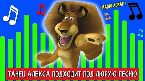 Песня лев танцы