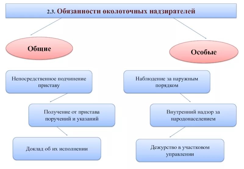 Участковые уполномоченные полиции в дореволюционной россии. Организационная структура участковых уполномоченных полиции. История становления службы участковых уполномоченных полиции. История становления службы участковых уполномоченных полиции. Правовые основы деятельности участкового уполномоченного полиции.