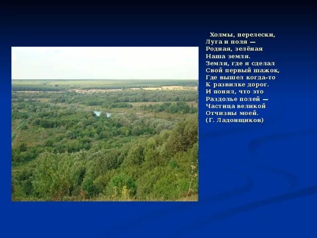 Холмы стихотворения. Холмы стихотворения