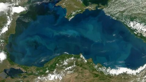Черное море это какой океан