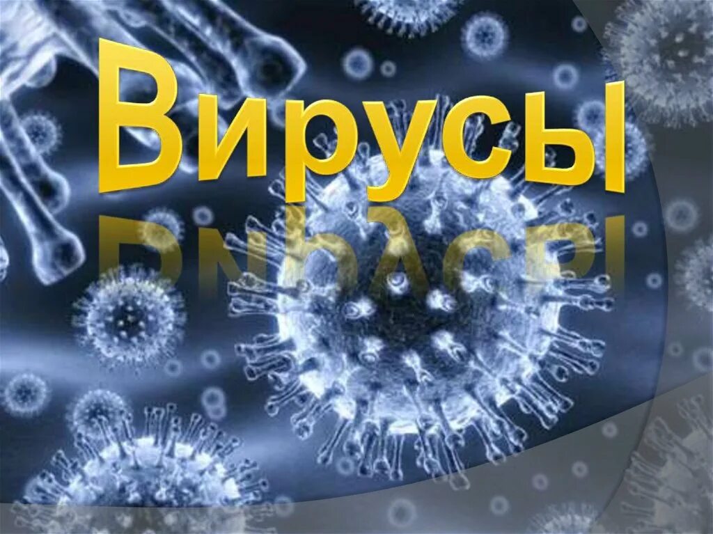 Virus 7. Вирус. Вирусы биология. Вирусы презентация. Проект про вирусы.