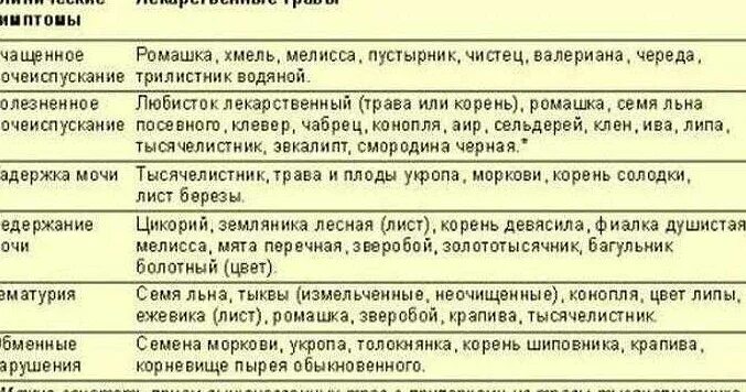 Цистит у женщин симптомы и причины. Схема лечения воспаления мочевого пузыря у женщин. чем лечить цистит у мужчин. цистит у детей препараты. схема лечения цистита у мужчин.